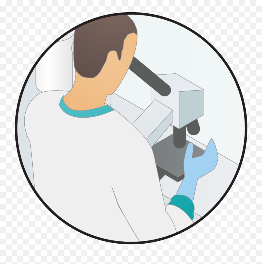 Hidden - Lab Staff Icon 833x833 Png Clipart Download Microscope,Staff Icon Png