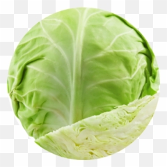 Cabbage Grierfield Farms - Big Cabbage Png,Cabbage Png