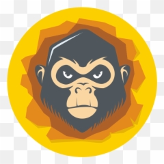 About Us U2013 Manekadesign - Monkey Png,Mankey Png