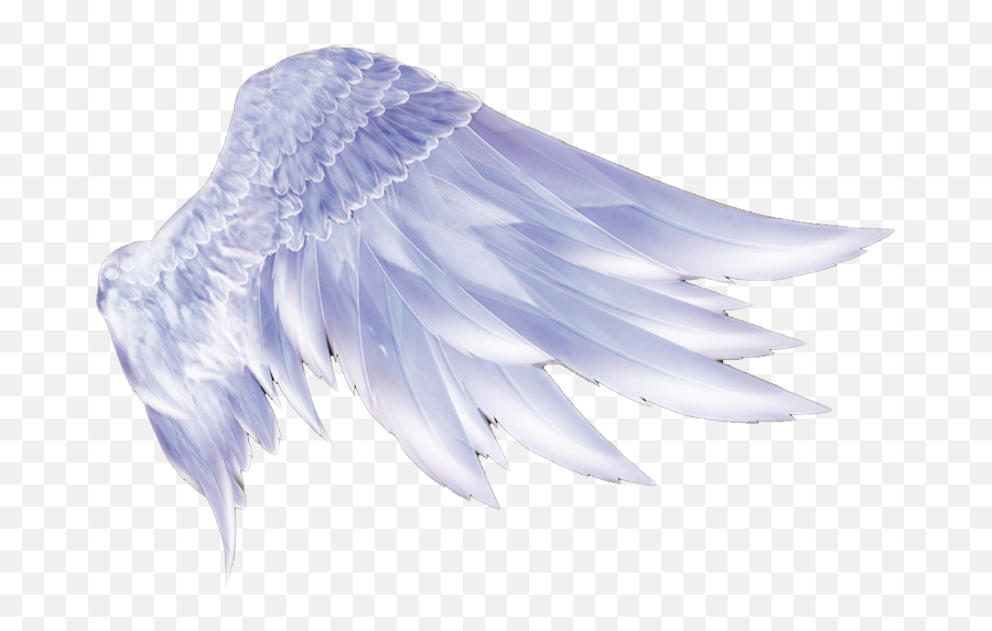 Wing Icon - Angel Wings Png,Wing Png