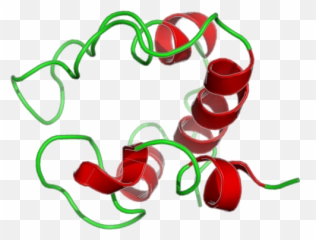 Index Of Ftppubbmrbentrydirectoriesbmr10133 - Bell Peppers And Chili Peppers Png,2pac Png