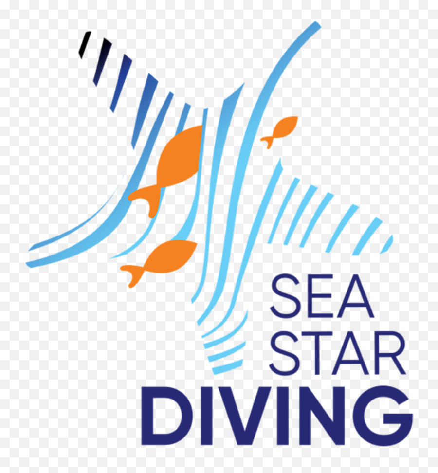 Sea Star Diving Dive Center Thulusdhoo Onlinedivecenter - Australian Fossil And Mineral Museum Png,Sea Star Png