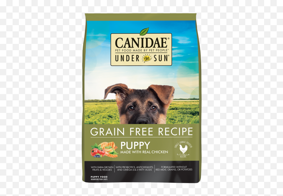 Canidae Under The Sun Puppy Grain Free Chicken Recipe Dry Dog Food Png Real