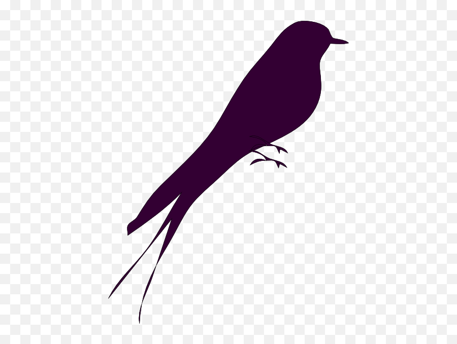 Download Hd Small - Love Bird Silhouette Png Transparent Png Purple Birds Png,Bird Silhouette Png