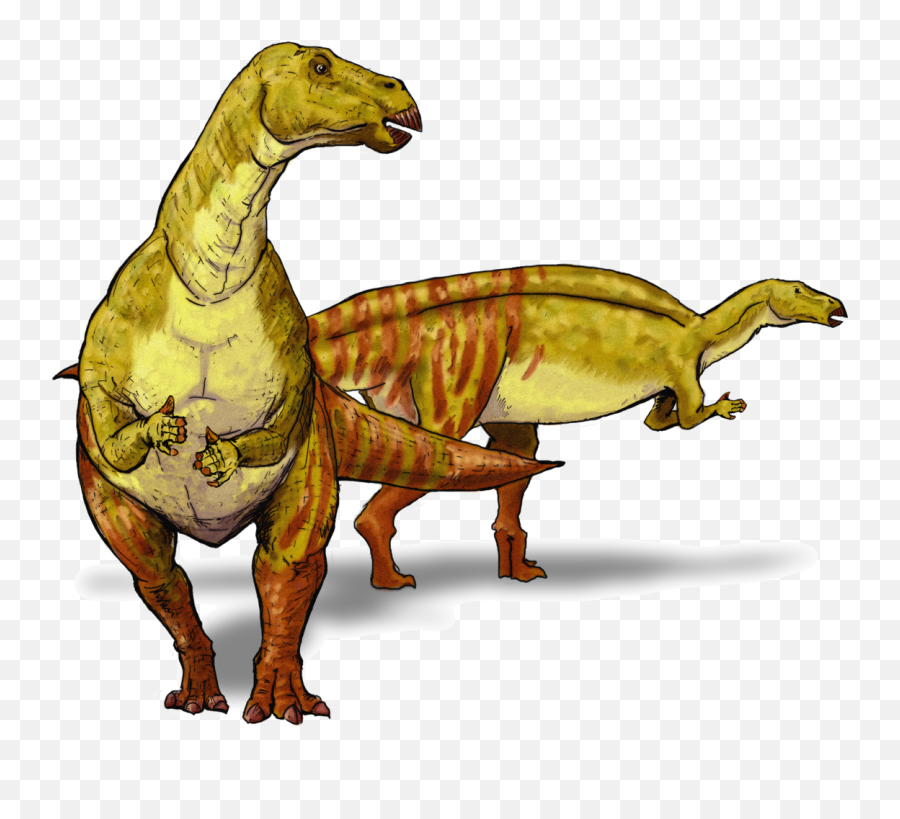 Filenanyangosaurus Dinosaurpng - Wikimedia Commons Nanyangosaurus Zhugeii,Dinosaurs Png
