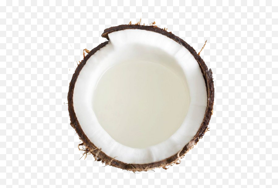 Grated Coconut Png Transparent Images - Imagenes De Coconut Png,Coconut Transparent Background