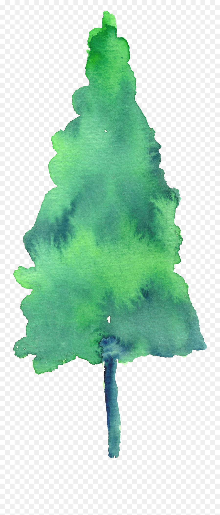 Download Hd Painted Watercolor Pine Tree Decoration Vector - Christmas Tree Png,Watercolor Tree Png