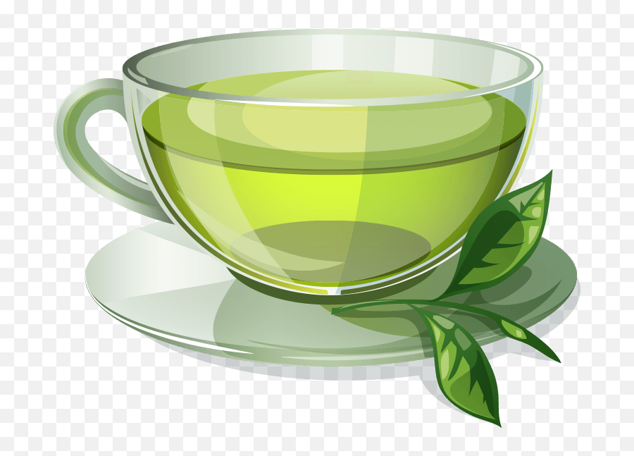 Green Tea Coffee Herbal - Transparent Green Tea Cup Png,Green Tea Png