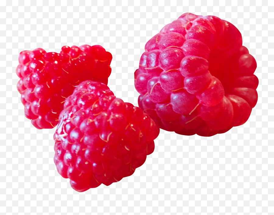 Download Raspberry Png Image For Free - Ahududu Png,Raspberry Png