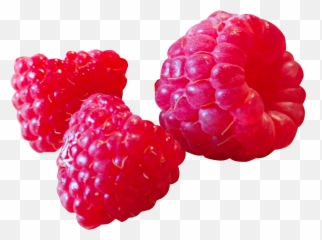 Download Raspberry Png Image For Free - Ahududu Png,Raspberry Png