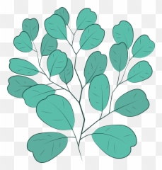 Clipart - Twig Png,Eucalyptus Png
