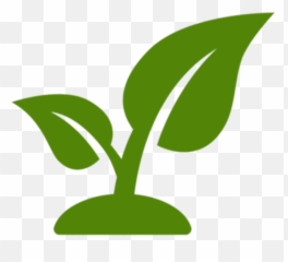 Plant Icon Png Image With No Background - Transparent