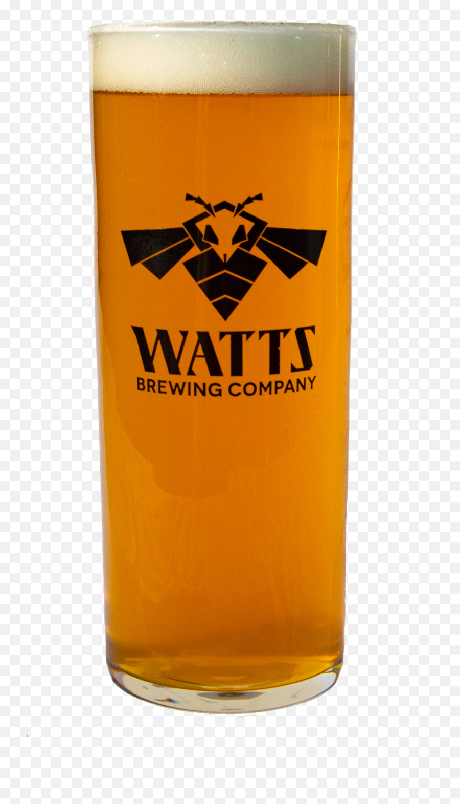 Apian Ipa Watts Brewing Company - Willibecher Png,Beer Foam Png