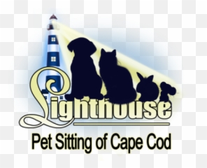 Home - Cat png