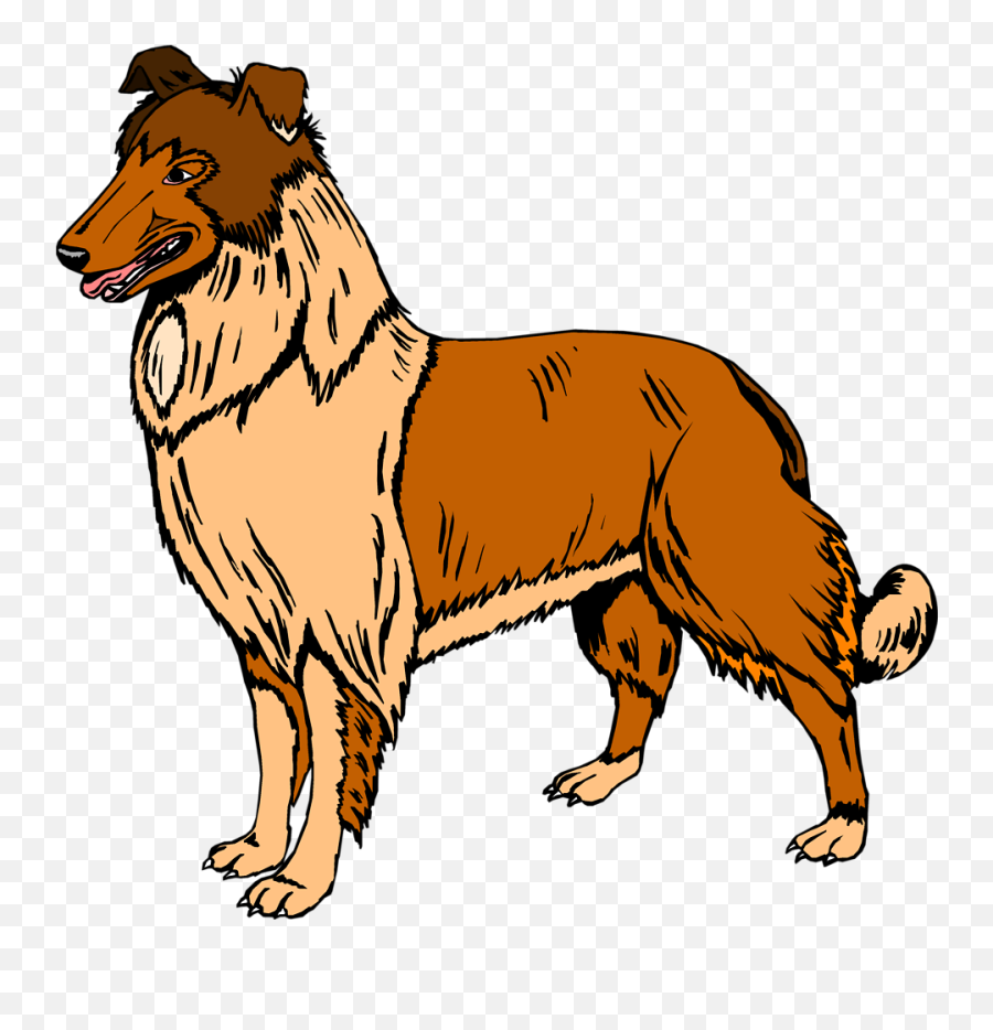 A - Dog Clipart Png,Funny Dog Png