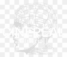 People U2014 Cinereal Productions - Hope Section Of Brain png