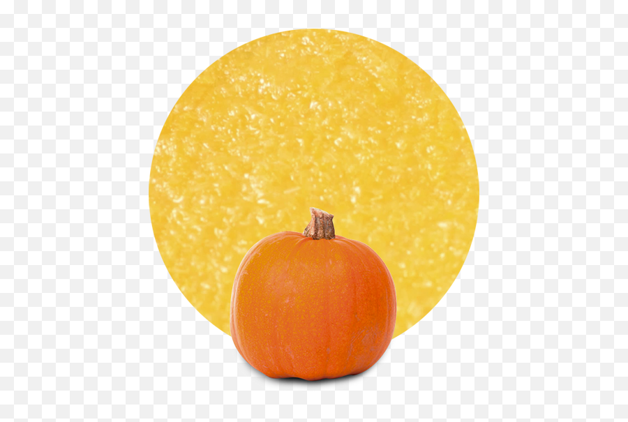 Pumpkin Puree - Manufacturer And Supplier Lemonconcentrate Pumpkin Png,Pumkin Png