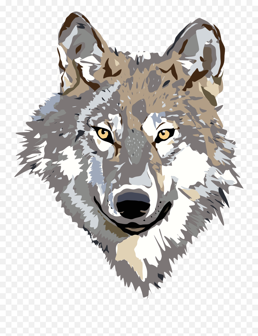Wolf Face Png 3 Image - Transparent Wolf Head Png,Wolf Face Png