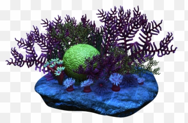 Png Clipart Coral Reef - Transparent