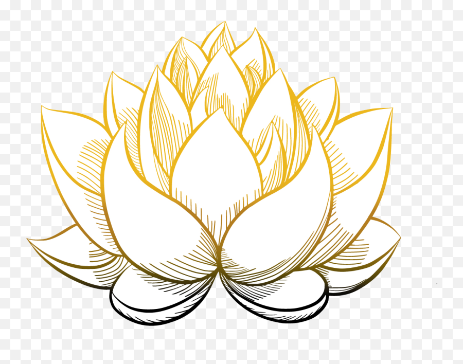 The Whole Being Institute - Simple Drawing Simple Lotus Flower Png,Lily Pad Icon