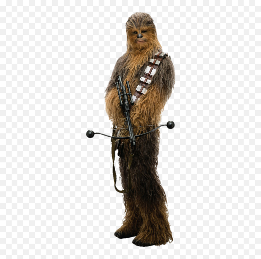 Png Chewbacca Star Wars The Last Jedi Force Awakens - Star Wars Chewbacca Evolution,Star Wars Png