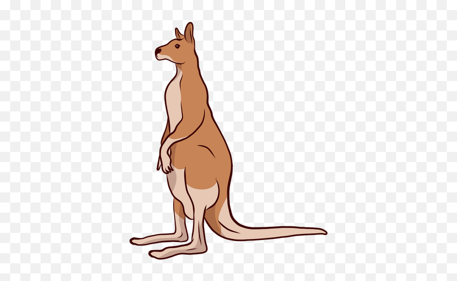 Kangaroo Tail Ear Leg Illustration - Transparent Png U0026 Svg Cartoon Kangaroo Tail,Kangaroo Transparent Background
