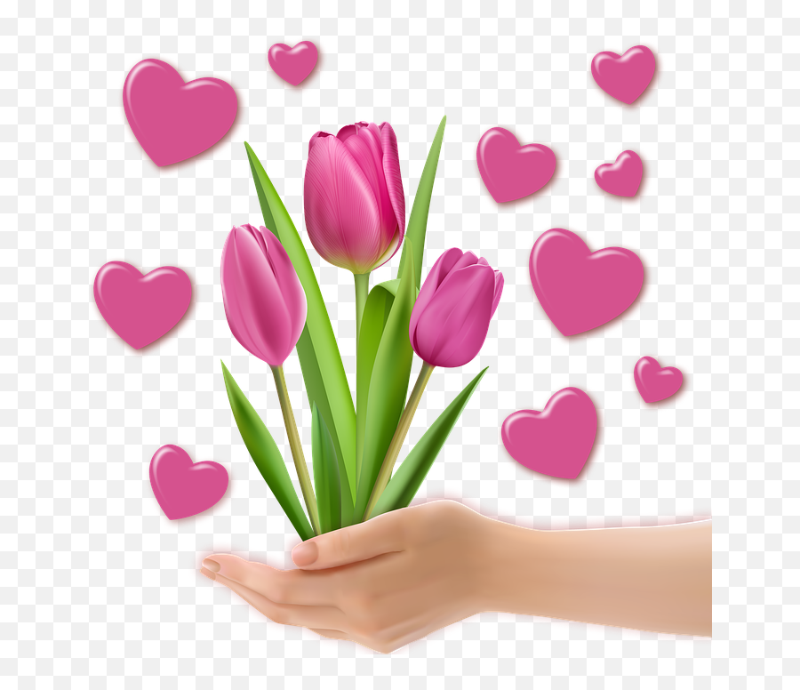 Png Image Decoration Tulips Heart - Tulips Heart,Heart Pngs