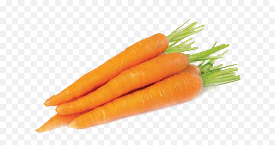 Carrots Png Image - Fresh Carrot,Carrots Png