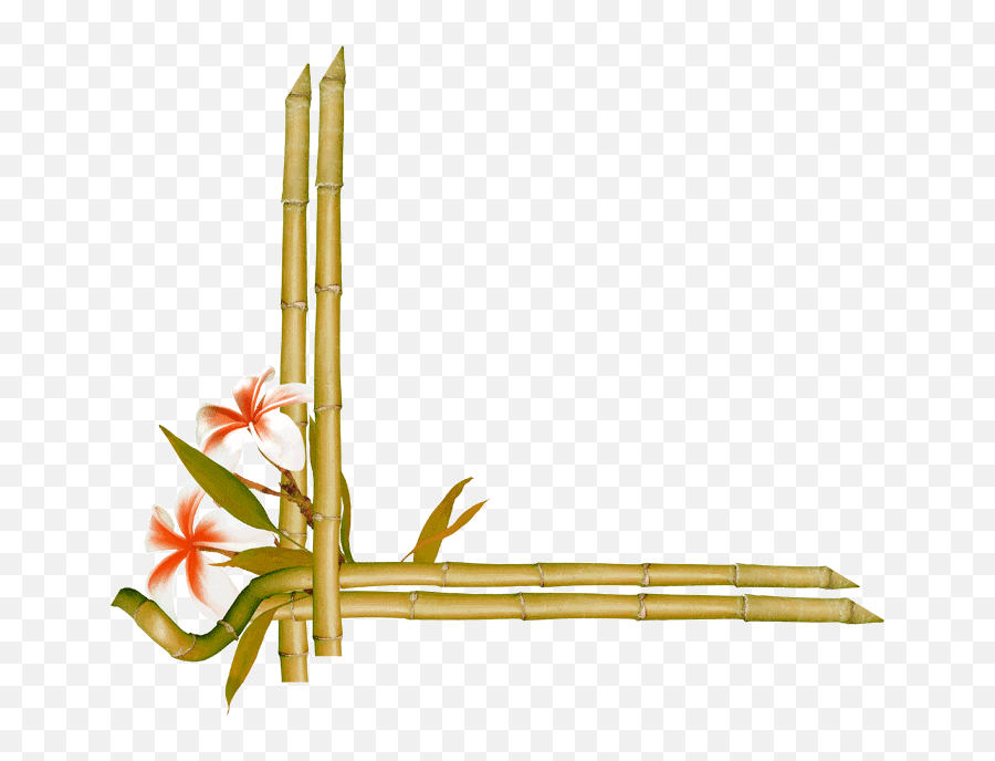 Bamboo Flower Frames And Borders - Bamboo Border Png,Bamboo Frame Png