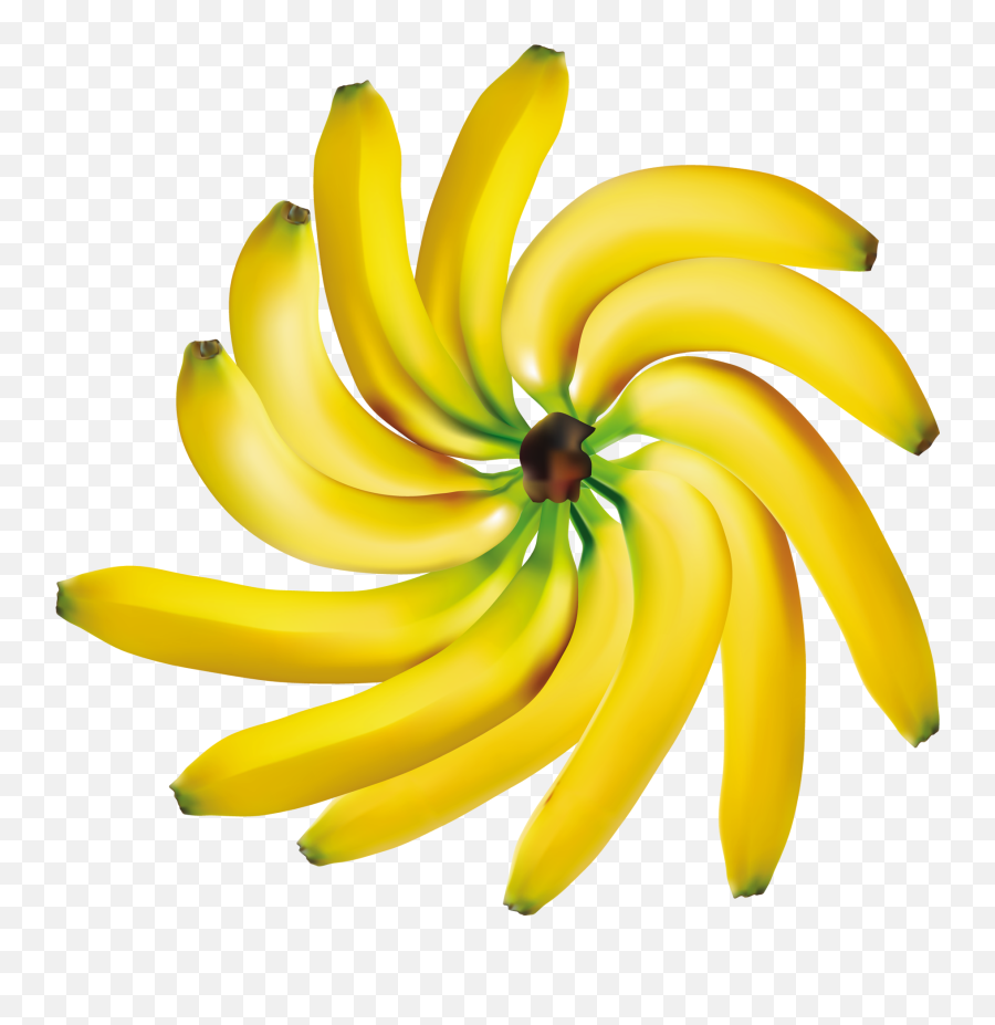 Pin By - Fruits Fond Transparent Png,Banana Transparent