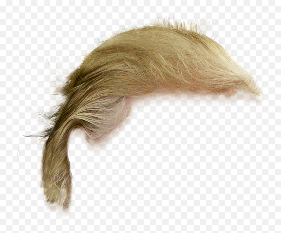 Donald Trump Hair Png Transparent 2 Image - Transparent Donald Trump Hair Png,Donald Trump Transparent