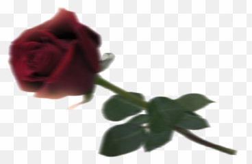 Fire Concept Editing Hd Background U0026 Png Free Download For - Vijay Mahar Background Rose,Fire Eyes Png