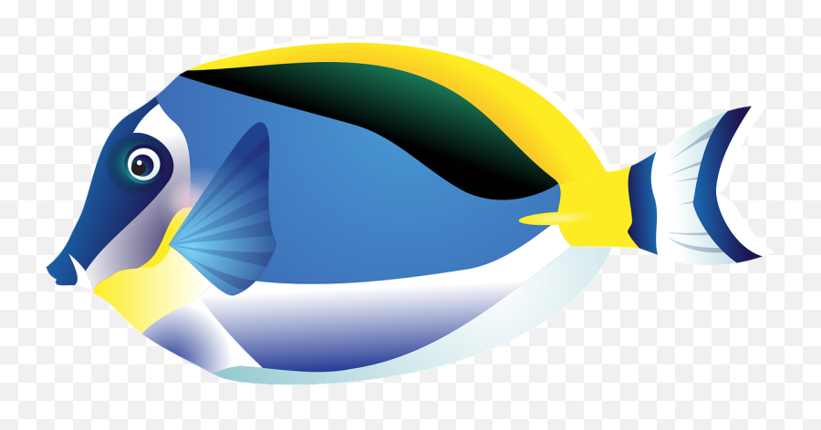 Fish Tropical Sea - Tropical Fish Graphics Png,Tropical Fish Png