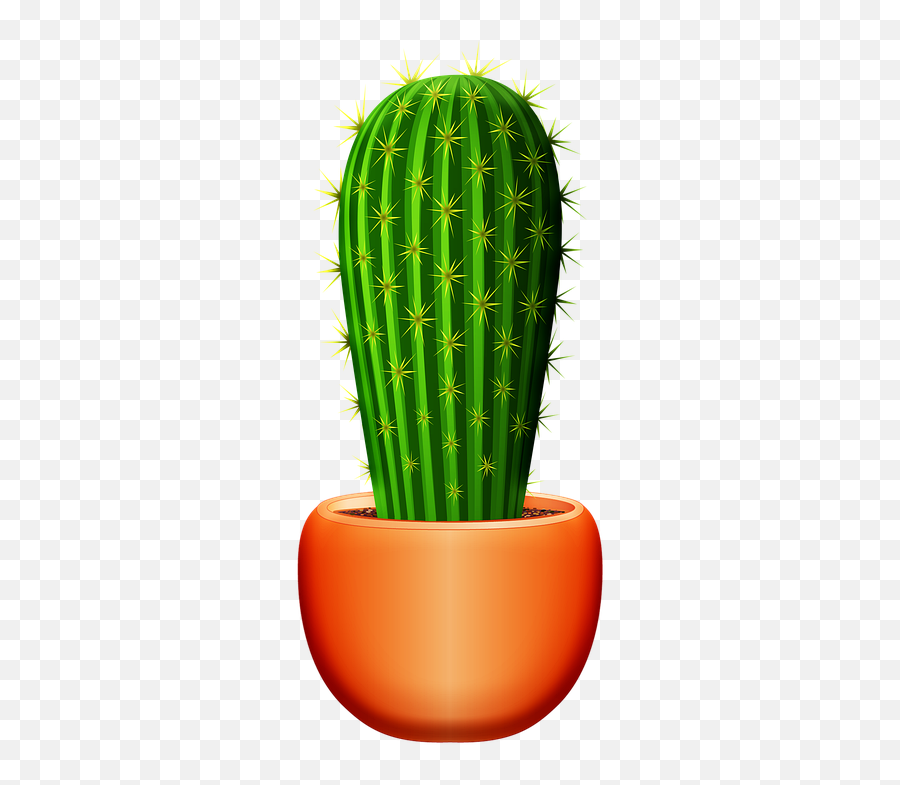 Aloe Vera Cactus Succulent - Cactus Png,Aloe Png