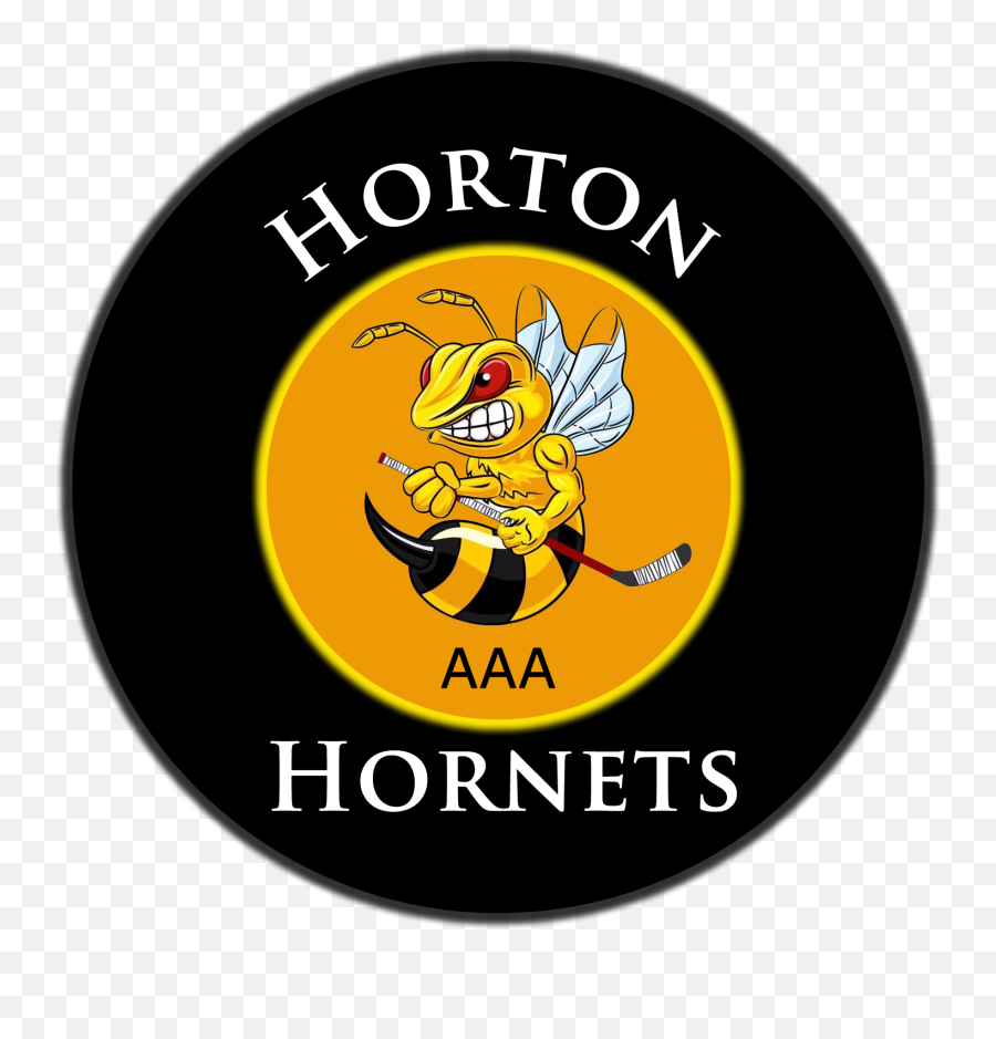 Gallery - Horton Hornets Aaa 2010 Spring Hockey Team Business Insider Png,Hornets Logo Png