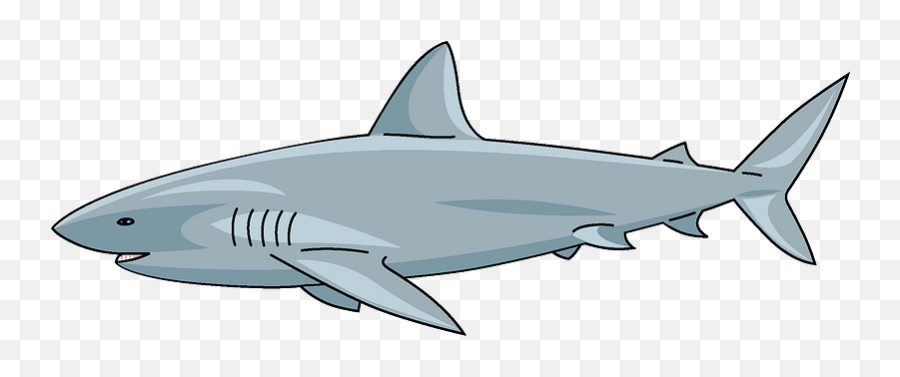 Shark Clipart Free Download Transparent Png Creazilla - Shark Clipart,Shark Clipart Png