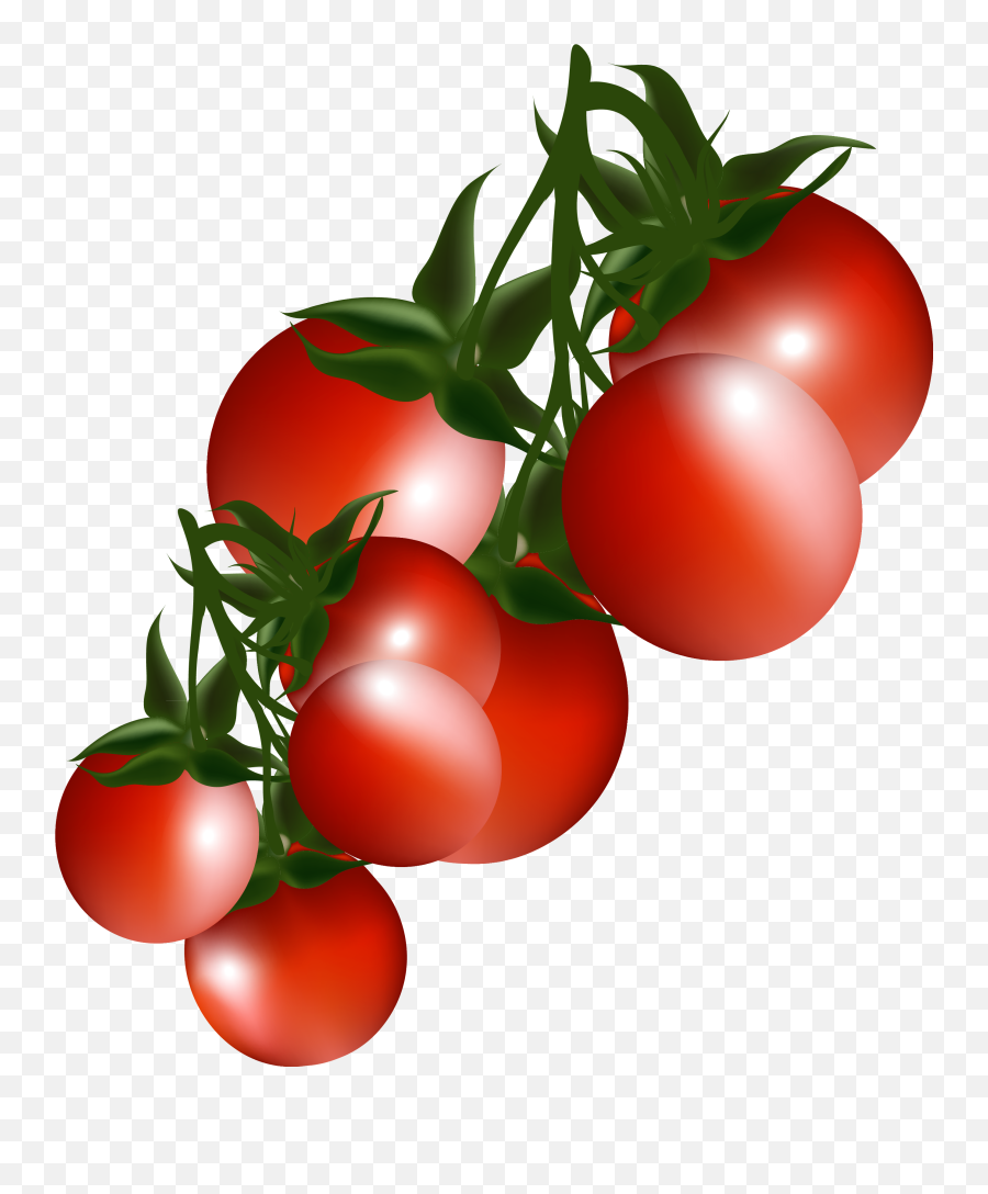 Tomatoes Vegetable Planting Transparent - Transparent Background Cherry Tomato Clip Art Png,Tomatoe Png