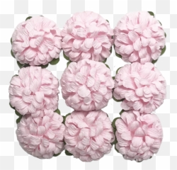 Flr - 066 Paper Flowerpink Hydrangea Serrata Png,Paper Flower Png