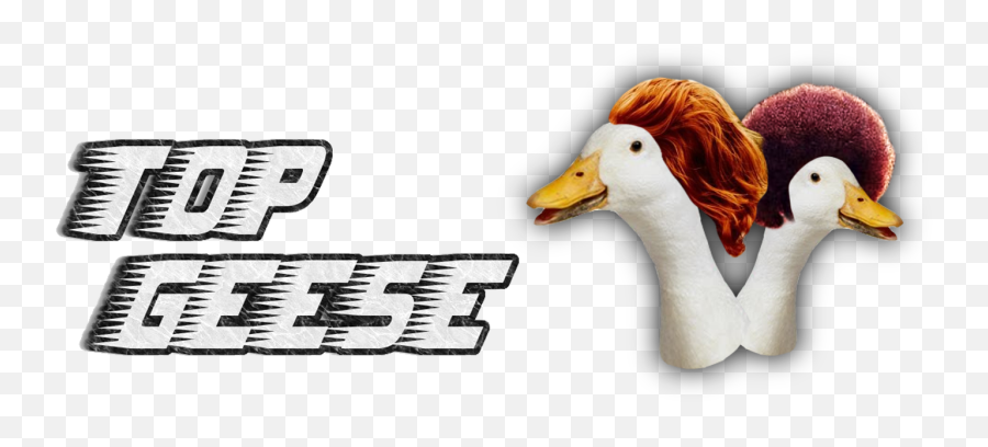 Geese Png - Man With Red Beard 3532294 Vippng Duck,Geese Png