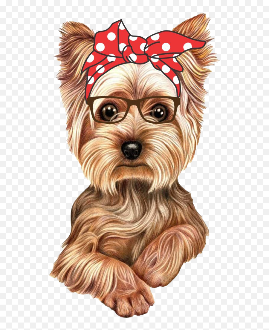 Yorkshire Terrier Png Transparent - Yorkie Cartoon,Yorkie Png