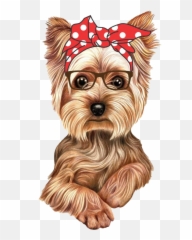 Yorkshire Terrier Png Transparent - Yorkie Cartoon,Yorkie Png