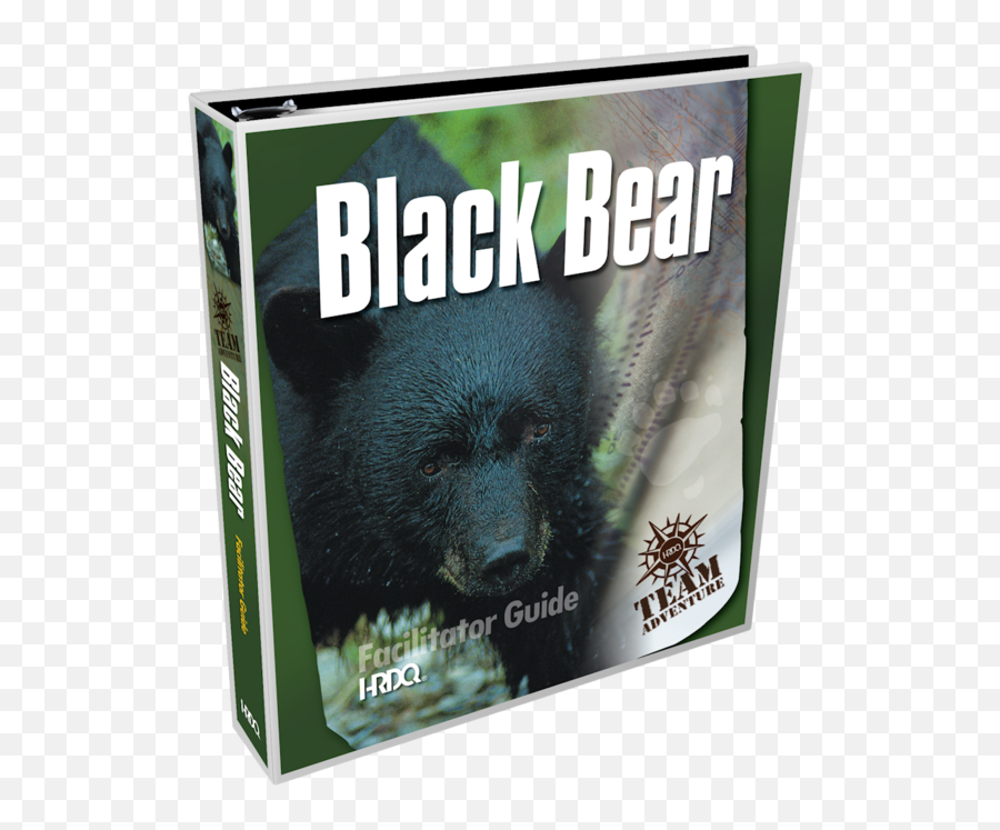 Survival Simulation Game For Team - American Black Bear Png,Black Bear Png