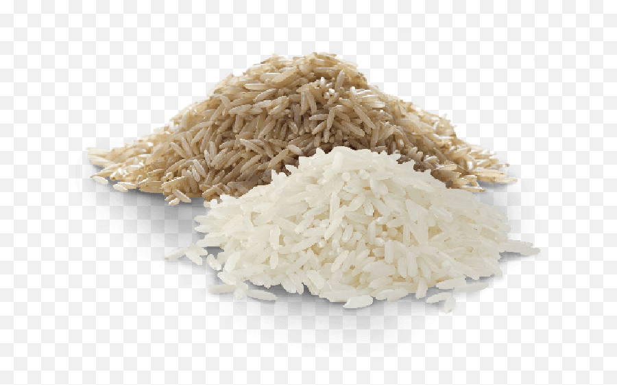 Rice U0026 Grains U2013 Sanmik Food - Rice Grains Png,Rice Png