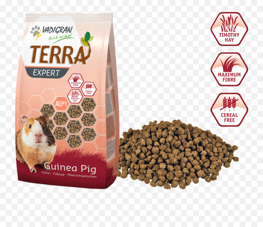 Terra Expert All - Terra Guinea Pig Png,Guinea Pig Png