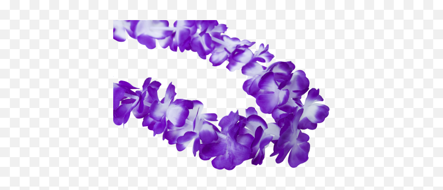 Hawaiian Lei Garland Purple - Lovely Png,Lei Png