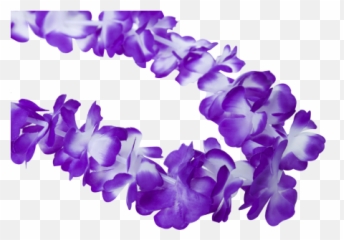 Hawaiian Lei Garland Purple - Lovely Png,Lei Png