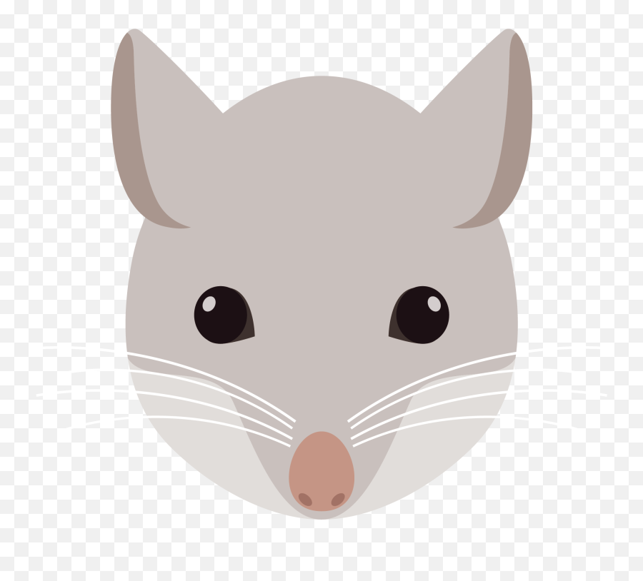 Download Rat Mouse Clip Art - Mouse Head Cartoon Png Image Cartoon Mouse Head Png,Mouse Animal Png