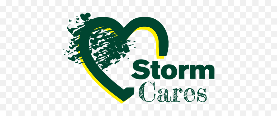 Stormunity Stormcares - Storm Cares Png,Captain Marvel Icon Theater