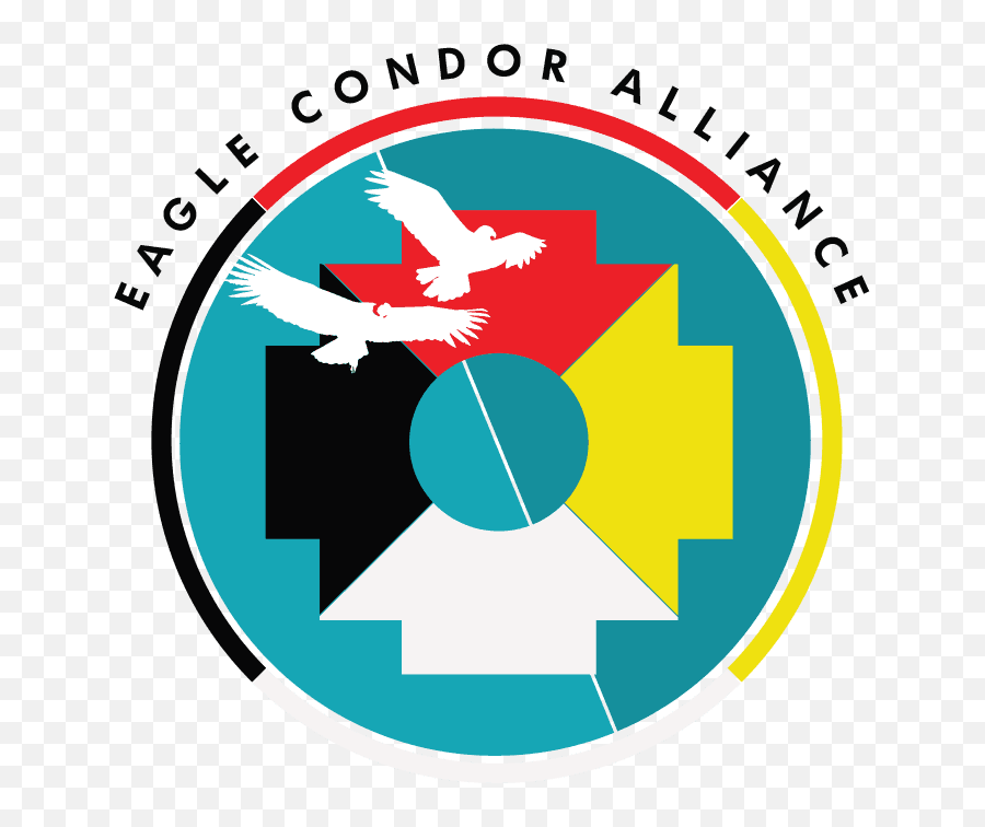 Eagle Condor Alliance Reviews U0026 Testimonials - Narayana E Techno School Mohali Png,Spread Eagle Icon