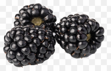Radiance Glowing Vitamin Ester Serum - Blackberry Limited png